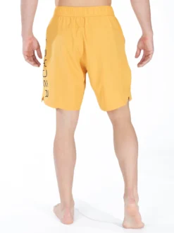 Spyder Shorts & Slips De Bain Regular Maillot De Bain De Sport Homme Jaune Foncé -ADIDAS PERFORMANCE Soldes f56f77012ee71ab284c9c9ece25fa6a0 scaled