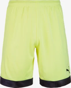 Puma Shorts Regular Pantalon De Sport Homme Jaune