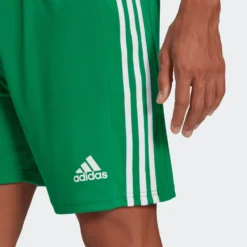 Adidas Sportswear Shorts Regular Pantalon De Sport Squadra 21 Homme Vert -ADIDAS PERFORMANCE Soldes f87922bc4f62ebabc628cfa5e1296d93