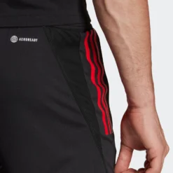 ADIDAS PERFORMANCE Shorts Regular Pantalon De Sport Belgien Tiro 23 Homme Noir -ADIDAS PERFORMANCE Soldes f92d1cb988c4dd1d10f71a0521053563