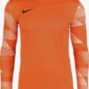 Nike Hauts Fonctionnels T-Shirt Fonctionnel Park IV Homme Orange