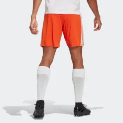 Adidas Sportswear Shorts Regular Pantalon De Sport Squadra 21 Homme Orange -ADIDAS PERFORMANCE Soldes fe948d5f46dcdfa3be47b5ed27a4f2a1